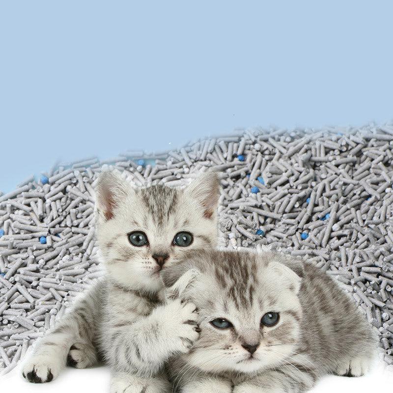 6L Activated Charcoal Tofu Litter With Natural Deodorizing Power-2